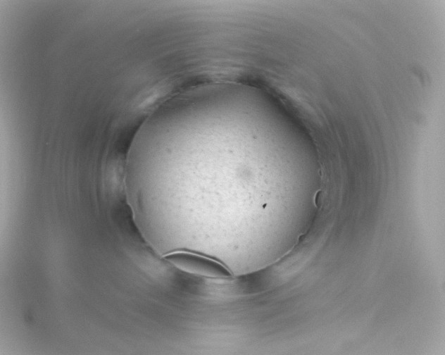 X0000115680240200911251758