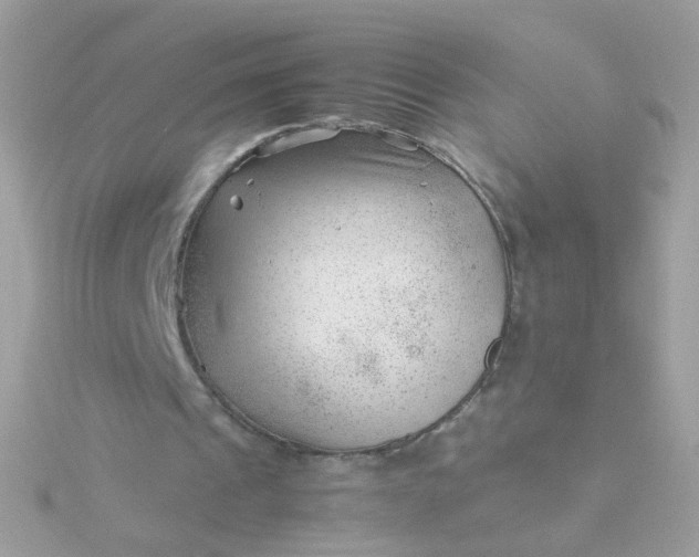 X0000115680241200911251758