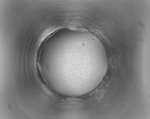 X0000115680242200911251758