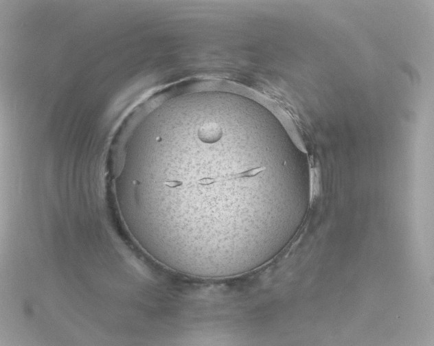 X0000115680243200911251758