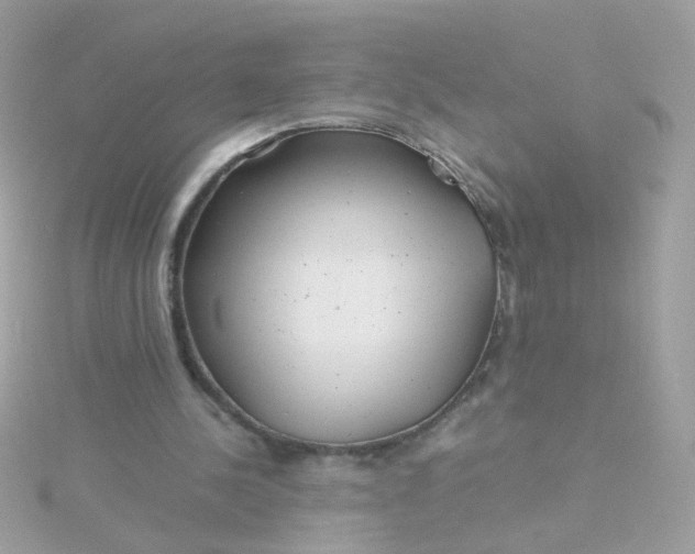 X0000115680244200911251758