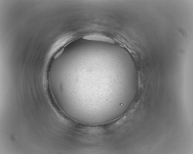 X0000115680245200911251758