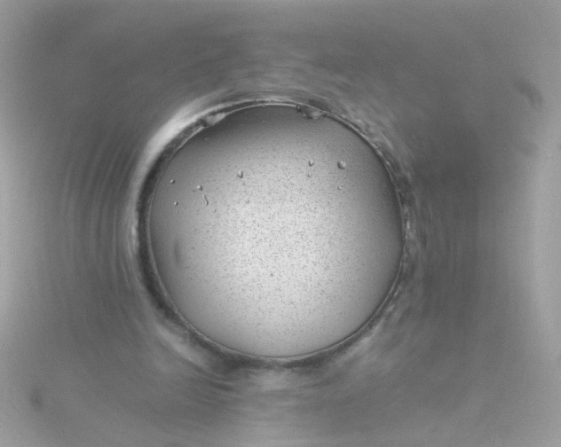 X0000115680246200911251758