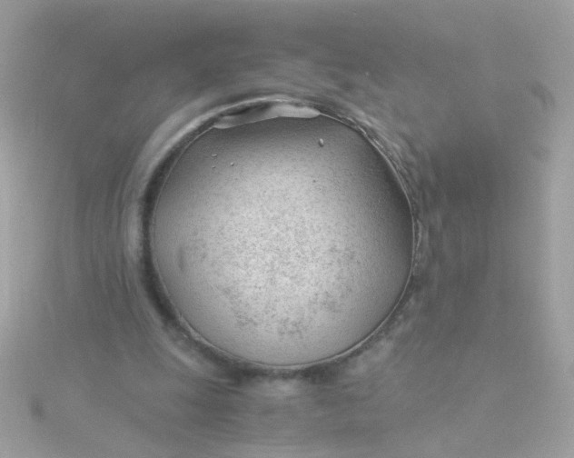 X0000115680247200911251758