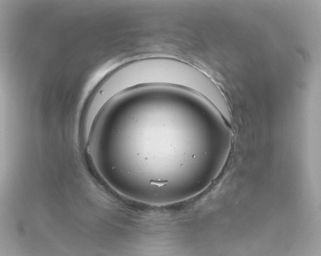 X0000115680248200911251758