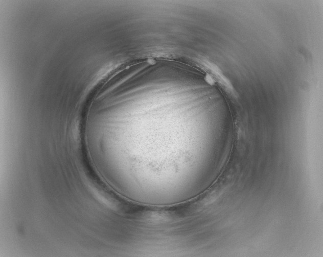 X0000115680250200911251758