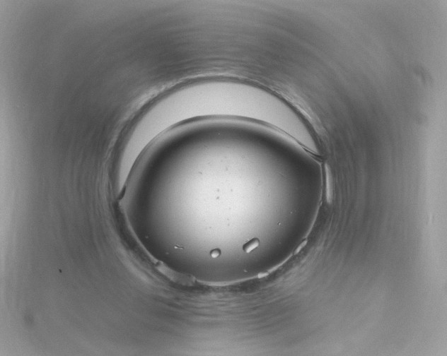 X0000115680252200911251758