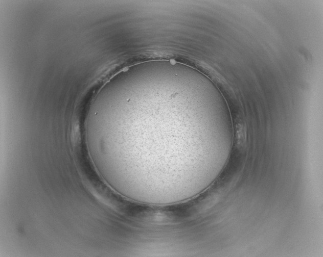 X0000115680254200911251758