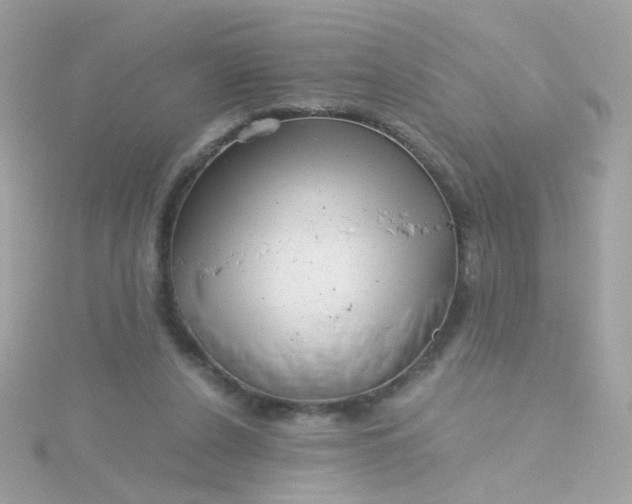 X0000115680256200911251758