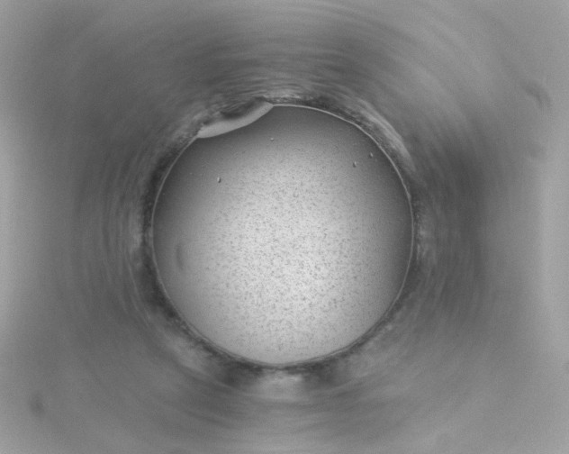 X0000115680257200911251758