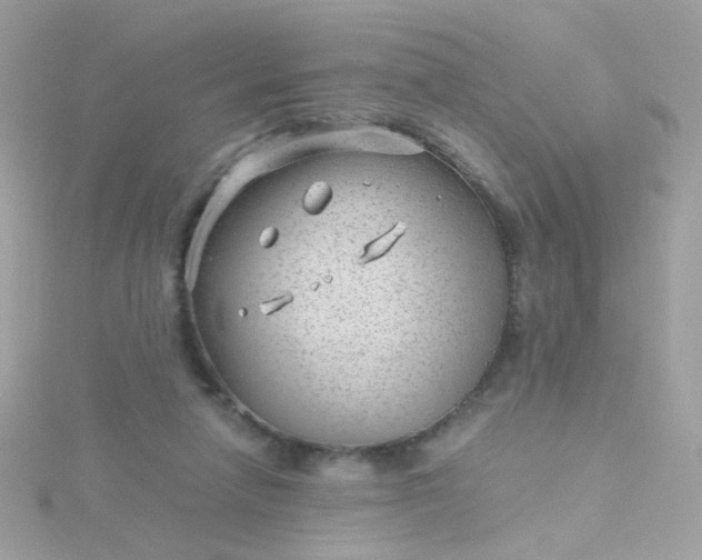 X0000115680258200911251758