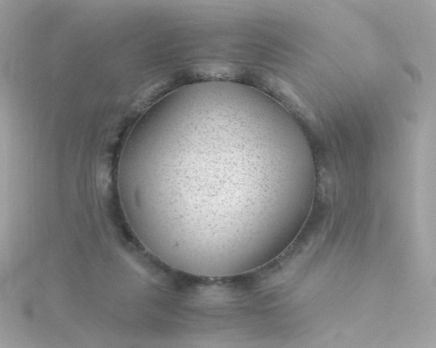 X0000115680259200911251758