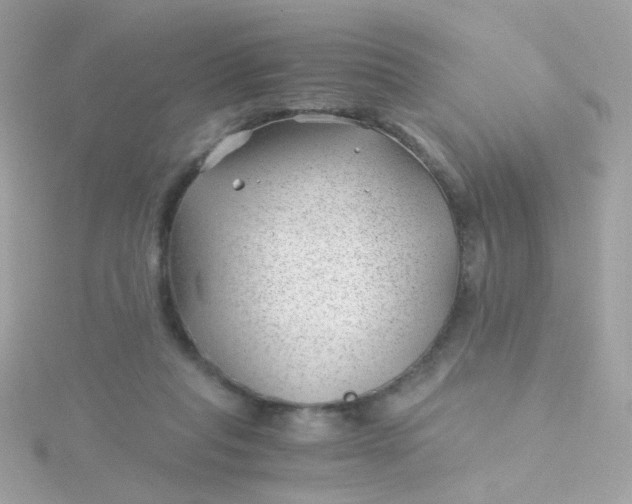 X0000115680261200911251758