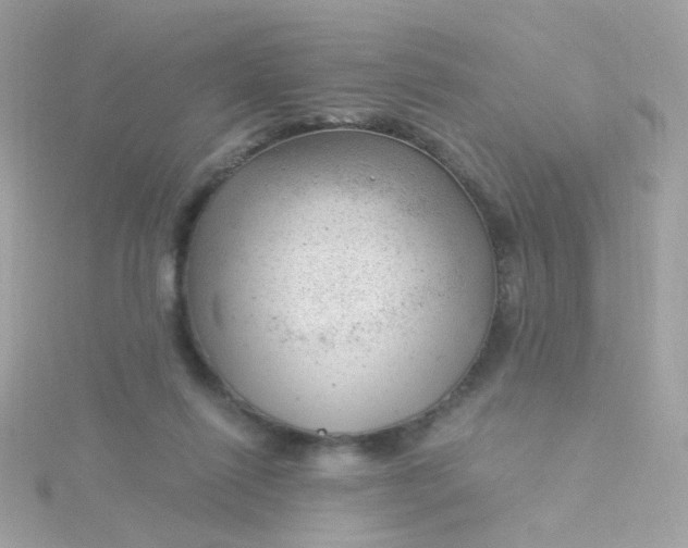 X0000115680262200911251758