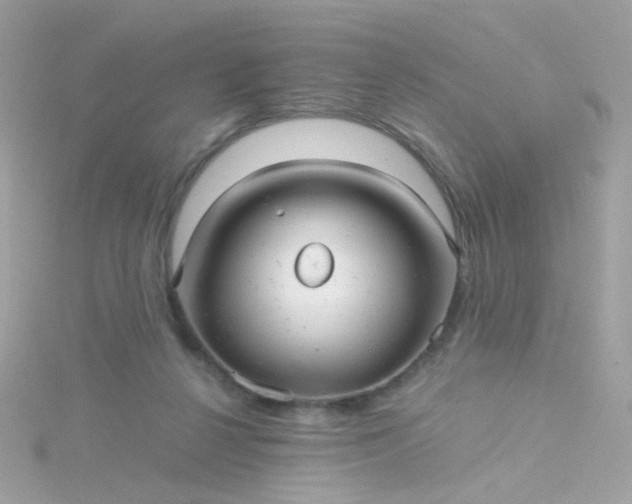 X0000115680264200911251758