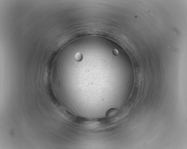 X0000115680266200911251758