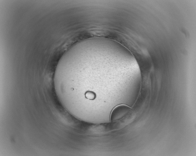 X0000115680271200911251758