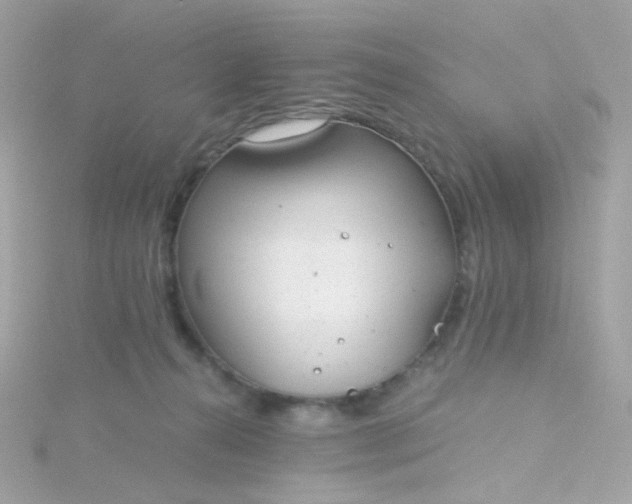 X0000115680272200911251758