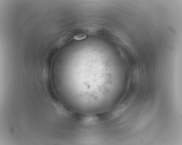 X0000115680274200911251758