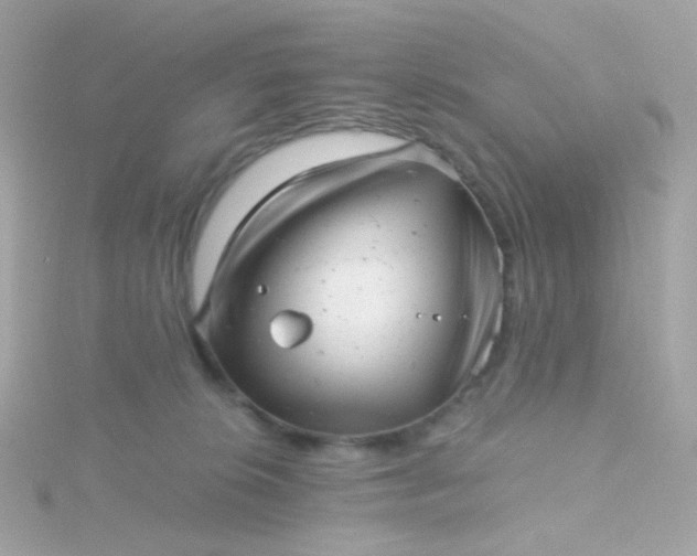 X0000115680276200911251758