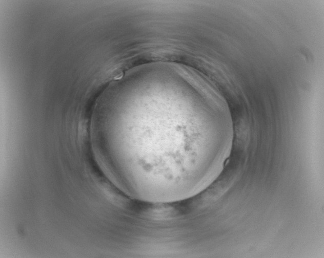 X0000115680278200911251758