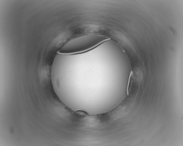 X0000115680280200911251758