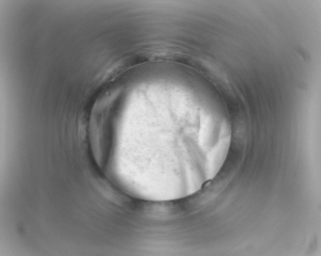 X0000115680282200911251758