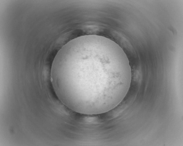 X0000115680283200911251758