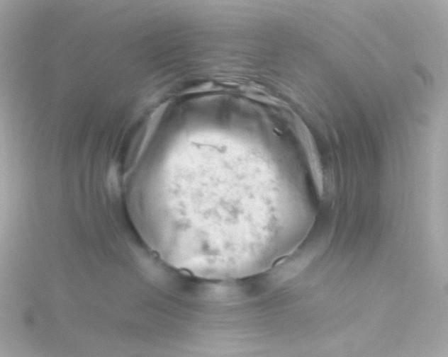 X0000115680286200911251758