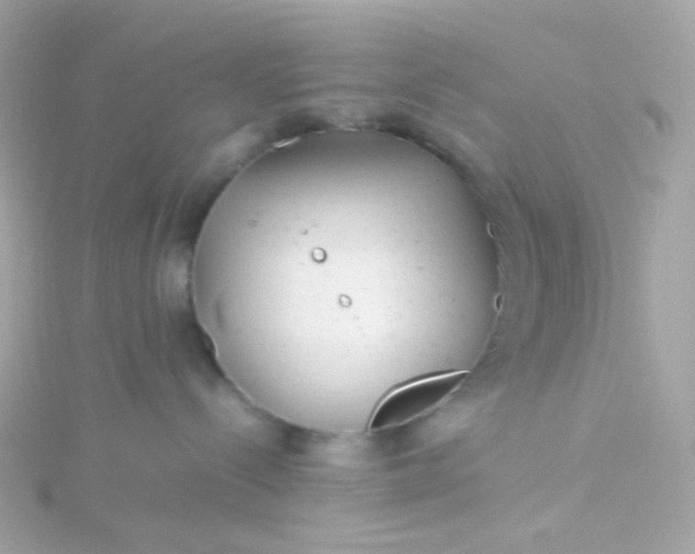 X0000115680288200911251758