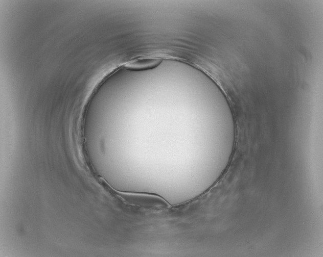 X0000115680289200911251758