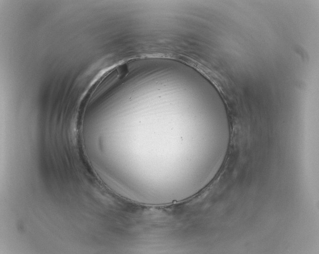 X0000115680290200911251757