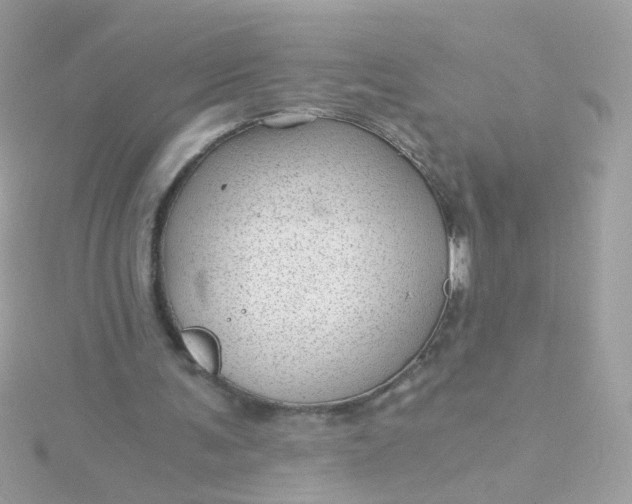 X0000115680291200911251757