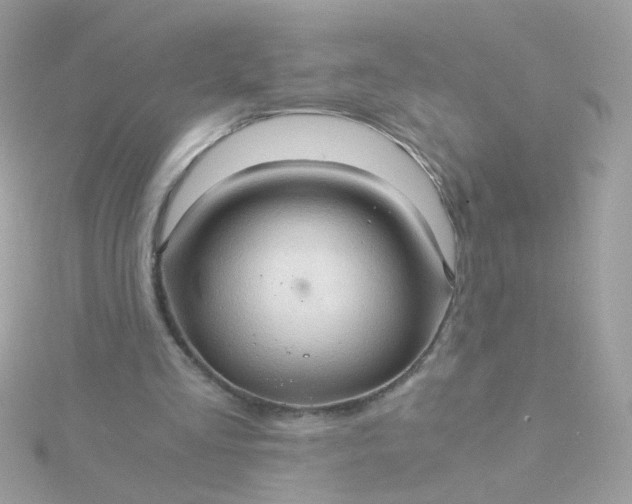 X0000115680293200911251757