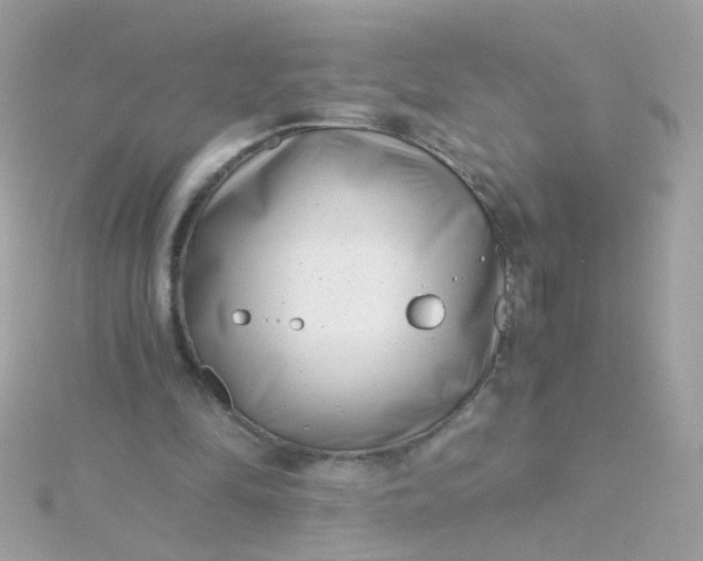 X0000115680294200911251757