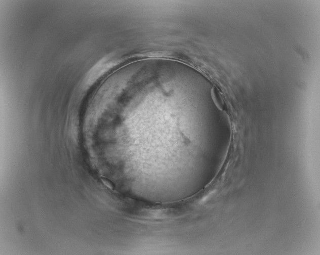 X0000115680295200911251757