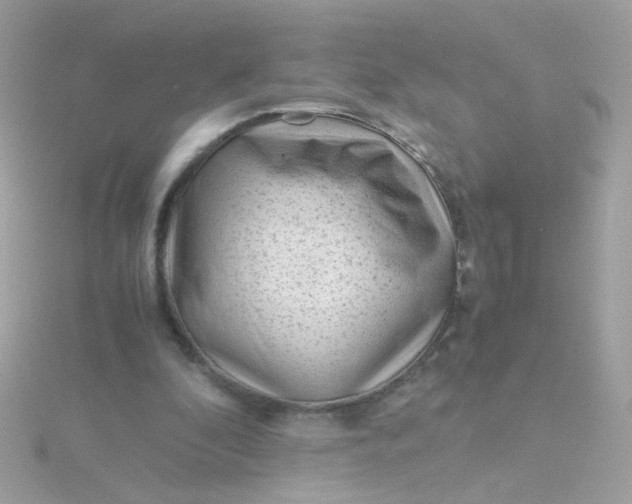 X0000115680296200911251757