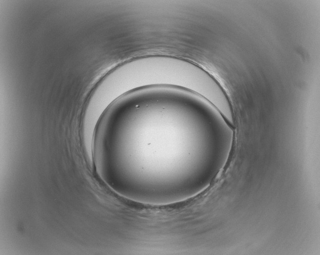 X0000115680297200911251757