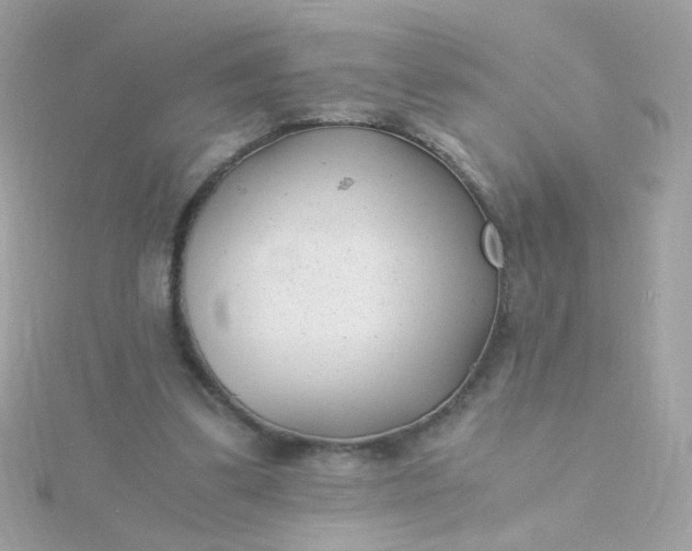 X0000115680299200911251757