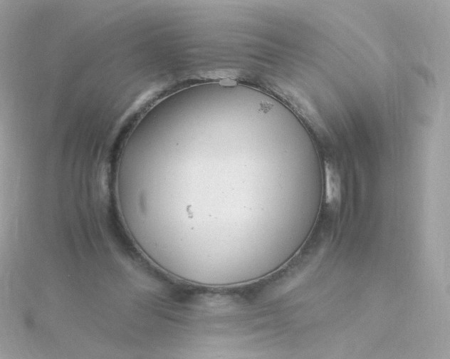 X0000115680300200911251757