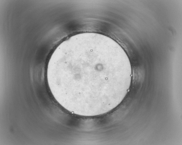 X0000115680301200911251757