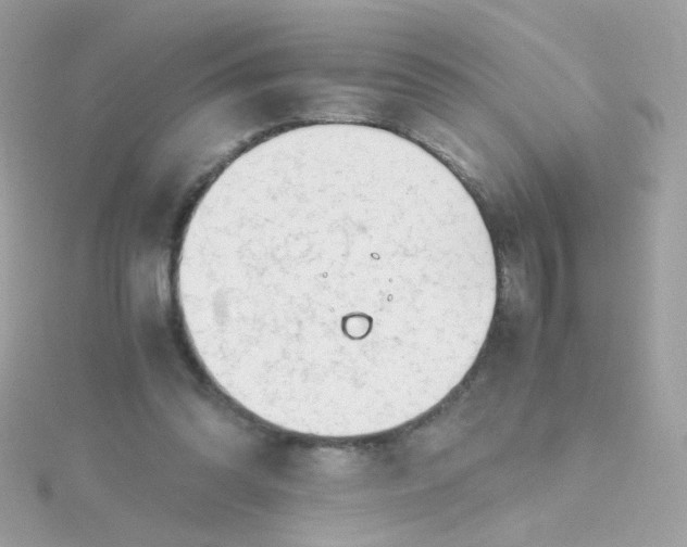 X0000115680302200911251757