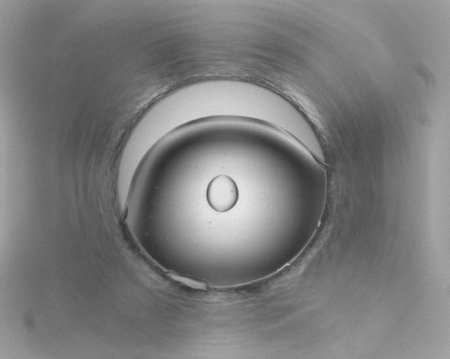 X0000115680305200911251757