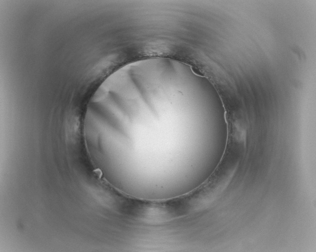 X0000115680308200911251757