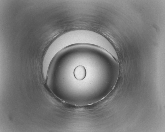 X0000115680309200911251757