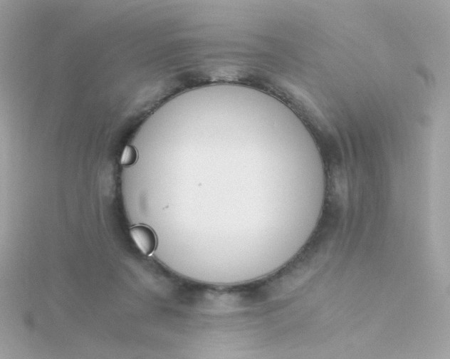 X0000115680311200911251757