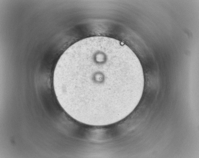 X0000115680313200911251757