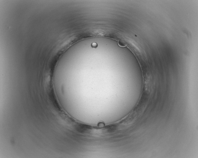 X0000115680314200911251757