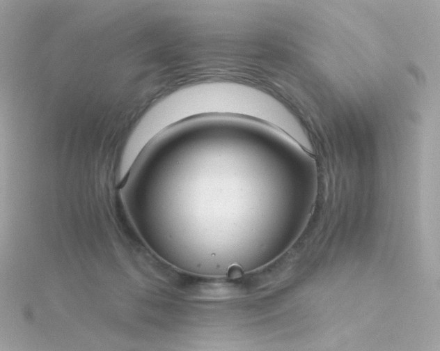 X0000115680316200911251757