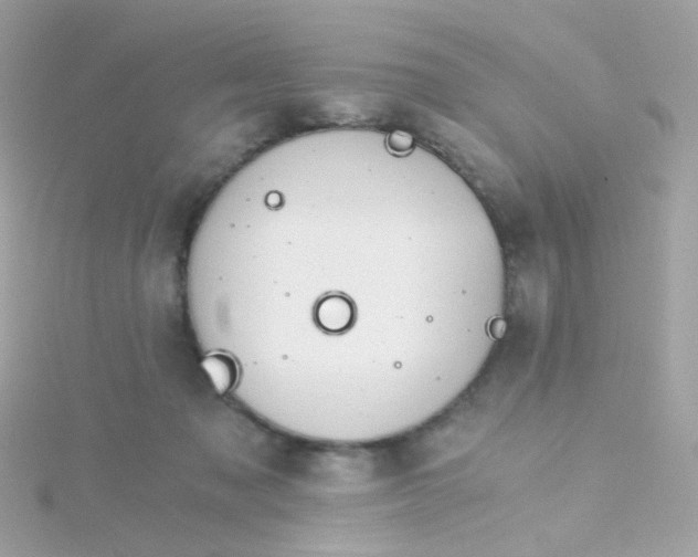 X0000115680317200911251757